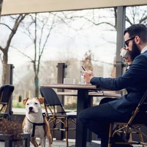 Which Popular Restaurants and Cafés also serve Food for Your Dog?