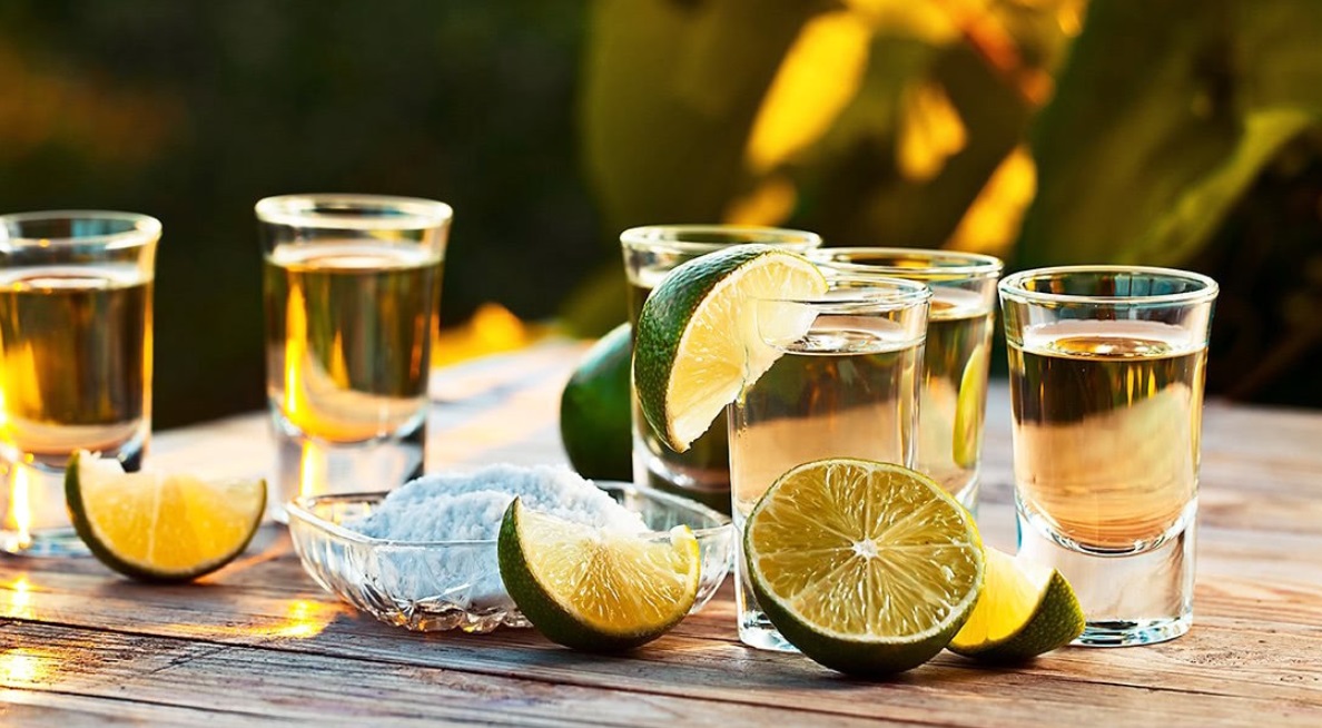 Top 10 Highest Quality Tequila Brands You Must Try